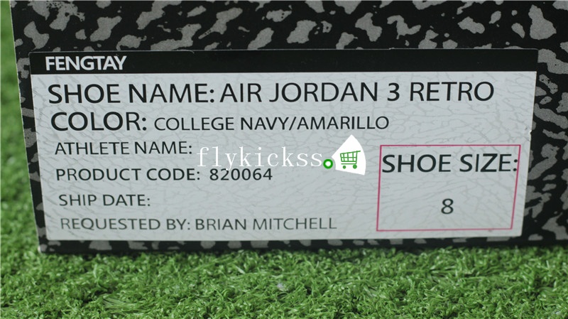 Authentic Air Jordan 3 Retro MICHIGAN PE